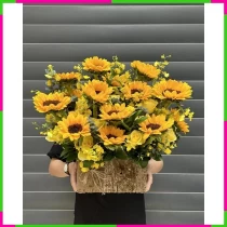 Lẵng Hoa Hồng Dương Lan Bình Minh** NOABF22QBL