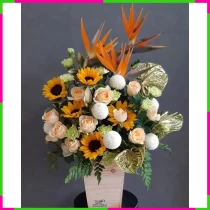 Hán Việt:** **Dương Huyền Phong Nguyệt** (阳旋风月) 4S38TPZ48