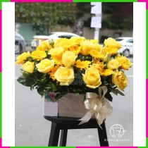 Kim Nguyệt Hỷ Lạc** F9OWNV0V9S