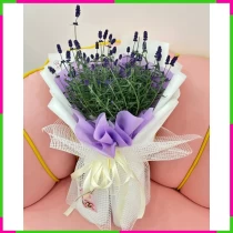 Lavender Sắc Hương Ngàn Mộng PEXMK6MCYS