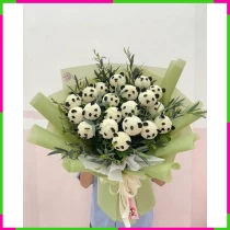 Bạch Cúc Tiểu Hùng Anh Hoa Y82GHWDC8K