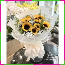 Hướng Dương Bạch Bảo Ân PCAIIBSEG2