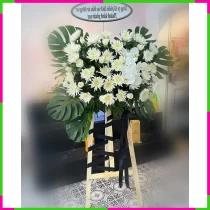 Bạch Hồng Trầm Tích Vô Ngân Tặng Kỷ Niệm 9JXCBC0JH0