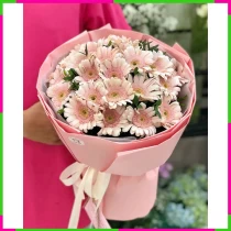 Hồng Tiền Tâm Ý GA2F38TLO7
