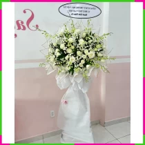 Bạch Nguyệt Tâm Hương DT9RWSBLR