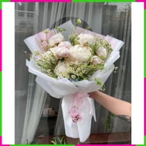 Bạch Mẫu Đơn Nguyệt Tâm WE6NMOQXQZ