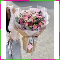 Tử Mộng Đằng Lam Hương XP41X8HNDP