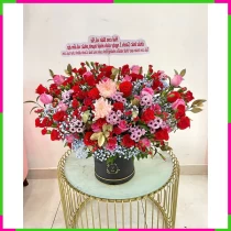 Hồng Ngọc Linh Huy YN46VTGOKL