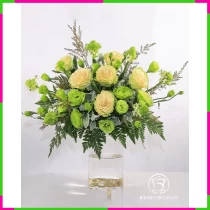 Hải Đường Lưu Quang QM5W3B5B26