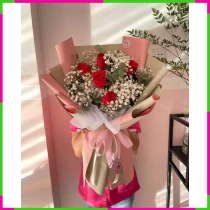 Hồng Bạch Vĩnh Ái E1CSRY1XO
