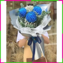 Thanh Mộng Huyền Diệp 8RKPVWZYPG