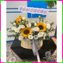 Hạnh Phúc Tường Dương** 3XM9JKFADL