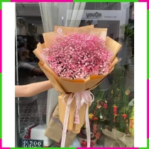 Hồng Mộng Vân Sắc HM6QKUVFJN
