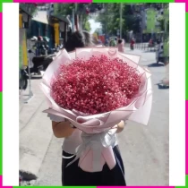 Hồng Mộng Bồng Bềnh YIQ8S80Z7E