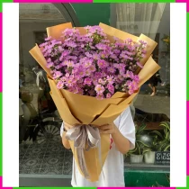Thạch Thảo Kỳ Duyên V50D3X86RR