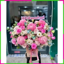 Mộng Hồng Đan Thanh PSBXRRIZYB