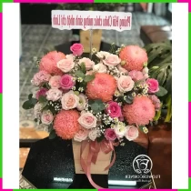 Hồng Mộng Mẫu Đơn Tình 9QA33WCHK