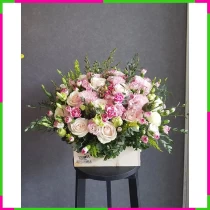 Hân Hoan Khai Vận Mộng Hồng RG365UT5XO