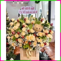 Hồng Cam Ấm Áp - Quà Tặng Yêu Thương XPW2KKT0I6