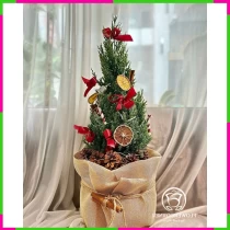 Tùng Nhập Gia Trạch Phồn Viñh I4RWT5Q3H
