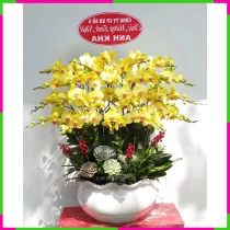 Hoàng Lan Đoàn Viên Sang Trọng Ấm Áp N6RPCSQ0OR