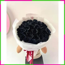 Mỹ Miều Huyền Bích 9WOBRLQ838