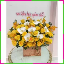 Hương Nắng Quyền Lệ G5F6D98BJ