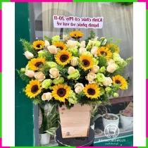 Hướng Dương Hòa Hợp Khai Xuân Phú Quý K6FGQK5GXR