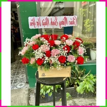 Hồng Hạnh Đan Tâm H8DGEU6ZN0