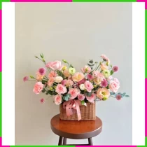 Hồng Nhan Dịu Dàng 2P4QFOLG3Q