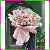 Hồng Nguyệt Tâm Tương Tư ZC366TLSV9