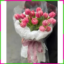 Hồng Tuyết Đan Tâm** CBV1KTUKV5
