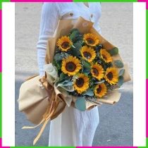 Hướng Dương Quang Minh JFBWT94JJ8
