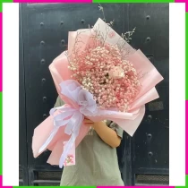 Hồng Ngọc Bình Dị 9S56T1L960