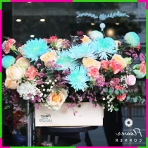 Tín Thanh Hoa Giỏ Khánh Sắc Diễm Lệ 007NJ6AP0S