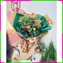 Giáng Sinh Thanh Quế Thông Châu Kỳ ZZ6360VD7