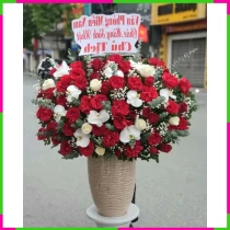 Tình Yêu Hoa Vân Thường Tinh Tế SEUD0TS7HG