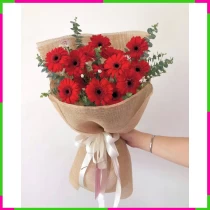 Hồng Nguyện Xuân Tín 7ZJQ23U13B