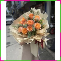 Hồng Cam Thanh Xuân Tình Yêu HRXQVUL0A