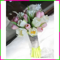 Thanh Xuân Thiên Hương Tuyết Đào JCRPSUHRQ
