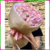Hồng Tú Đà Lạt Tâm Tình 3WWT7C545