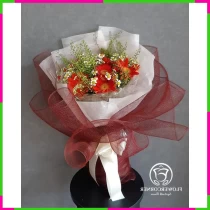 Pháo Hoa Phúc Lộc Rực Rỡ Bình An H00ZVBD0NS