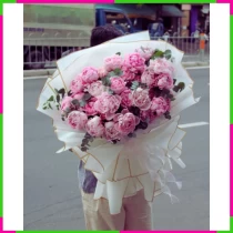 Phú Quý Hồng Nhan 9JREMICHPS