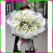 Bạch Liên Hỷ Lạc JY5PMMM3WT