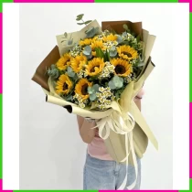 Rạng Ngời Kim Quang Tỏa Sáng Thanh Xuân. UT97CER3H