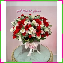 Hồng Quang Huy Hoàng OOZ6ASVC7C