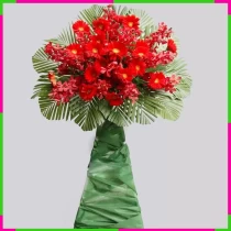 Khởi Đầu Tươi Sáng Vững Chắc Thành Công JNGG39GHWR