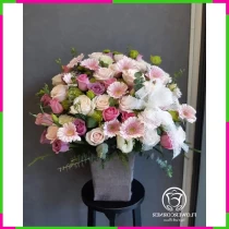 Hồng Nguyệt Lãng Tâm BOL052QXW