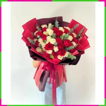 Hồng Bạch Song Quang Huy 3HVE059L6