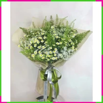 Mộc Mạc Cúc Tana và Cà Rốt Trắng Hòa GGX84ZEVJ0
